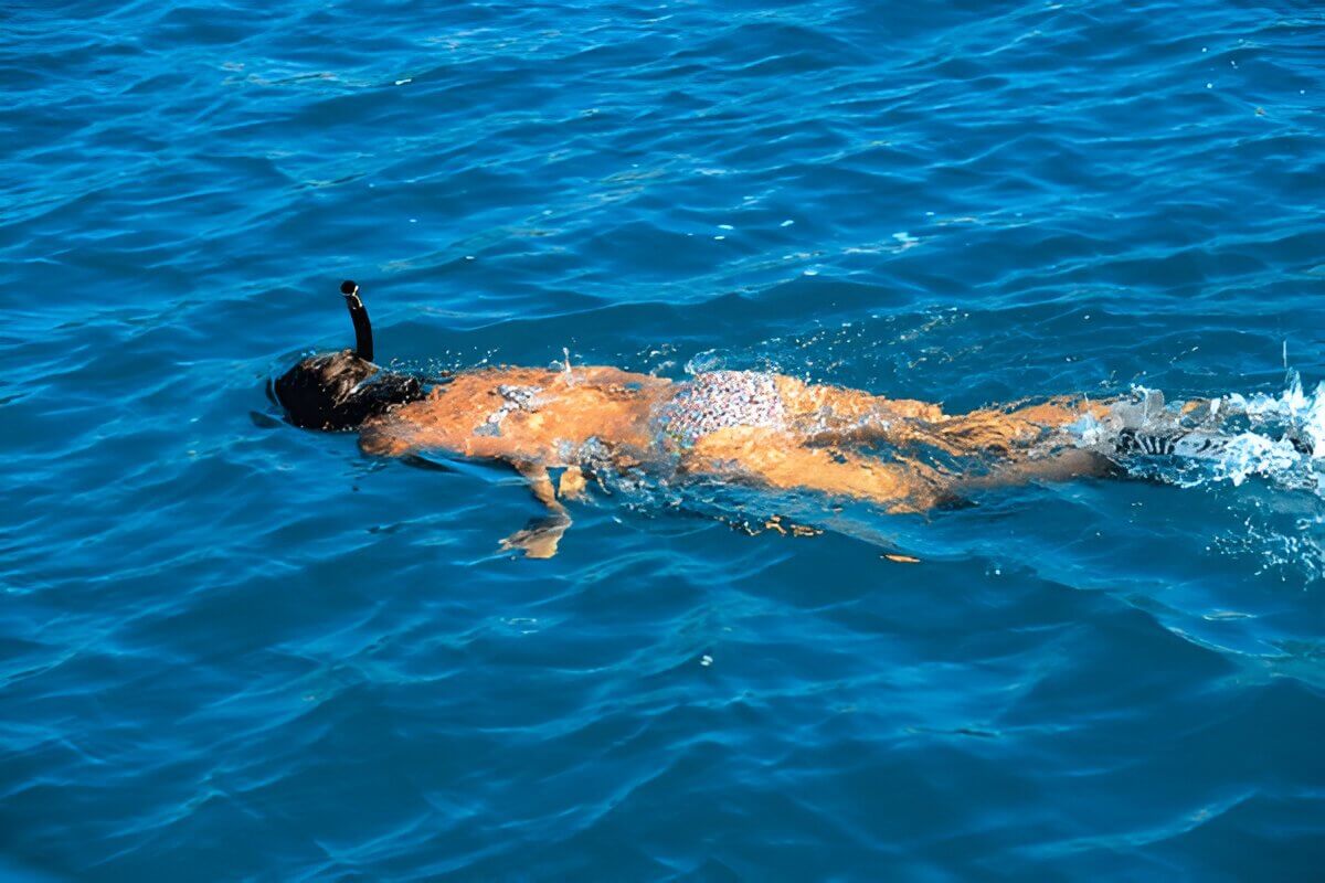 Angthong National Marine Park Snorkeling