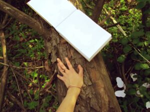 Angthong Marine Park Map: Your Complete Travel Guide
